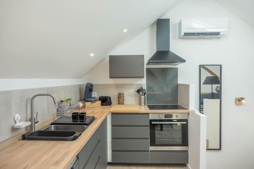 Maison/Appartement Avec Jardin Saint-Denis-en-Val Екстериор снимка